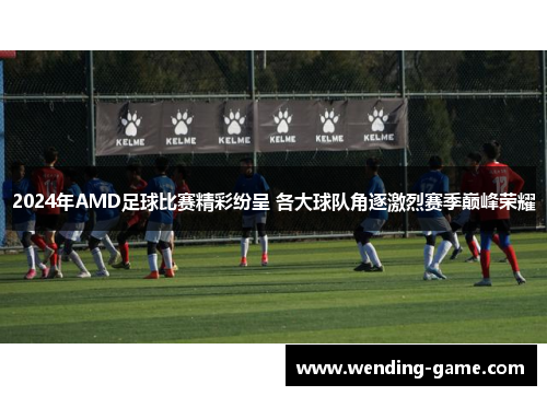 2024年AMD足球比赛精彩纷呈 各大球队角逐激烈赛季巅峰荣耀