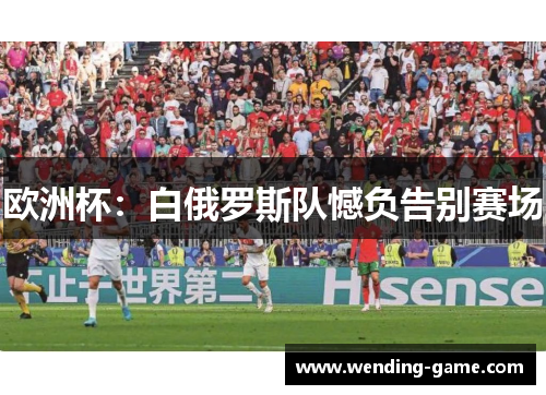欧洲杯：白俄罗斯队憾负告别赛场